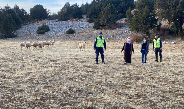 Karaman'da kayıp koyunları jandarma drone ile buldu