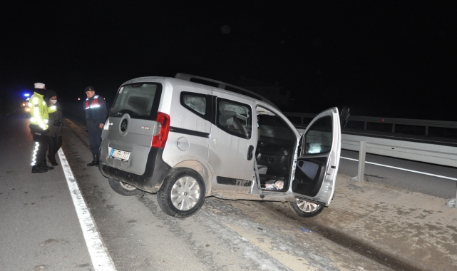 Karaman'da yola çıkan kedi kazaya neden oldu: 1 ölü, 3 yaralı