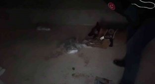 Arabasında uyuşturucu madde, evinde uçaksavar mermisi bulundu