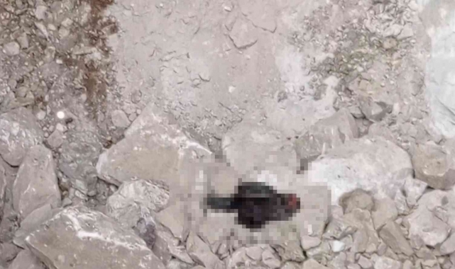 Hazine bulmak için siyah tavuk kesip kuyuya indiler