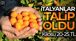 İtalyanlar talip oldu