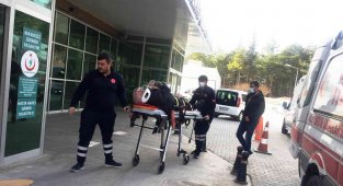 Elektrikli bisikletin çarptığı yaşlı adam hastanelik oldu