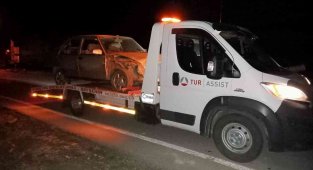 Karayoluna çıkan yaban domuzları kazalara davetiye çıkardı