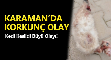 Karaman'da Tedirgin olay Kedi Kesildi Büyü Olayı!