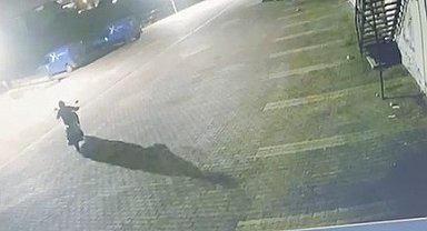 Büfeden 125 bin lira değerinde hırsızlık yapan şüpheli komşu kamerasında
