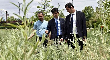 KOP desteklerine yerinde inceleme