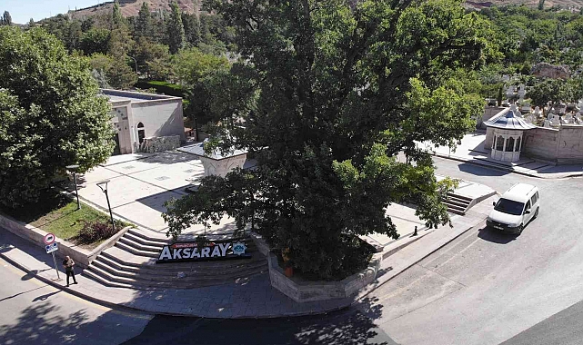 700 yıllık 'Kanlı Pelit' efsanelerle yaşıyor