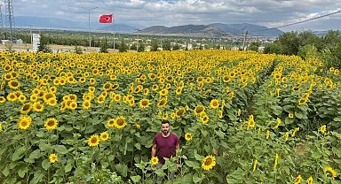 Hüyük'te ayçiçeği ekili alanlarda çayır tırtılı çalışmaları sürüyor