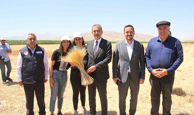 Karaman ovasında son buğday hasadı yapıldı