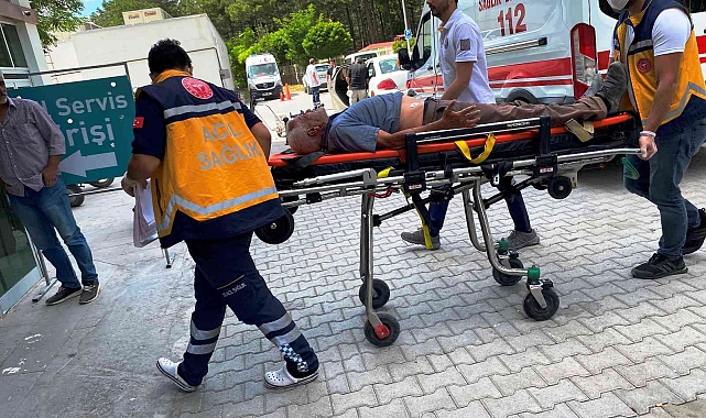 Mısır tarlasına giren boğanın boynuz darbesiyle hastanelik oldu