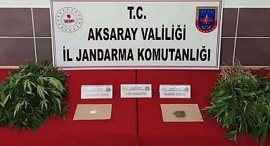 Aksaray'da jandarmadan uyuşturucu operasyonu