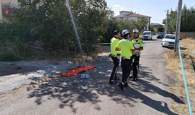 Geri geri gelen kamyonun ezdiği yaşlı kadın öldü