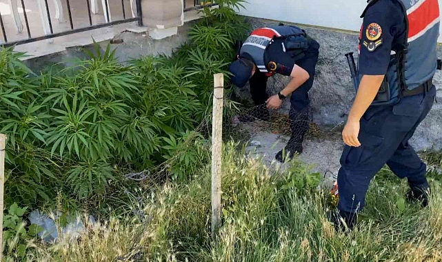 Aksaray'da 2 köyde uyuşturucu operasyonu: 1'i kadın 2 gözaltı