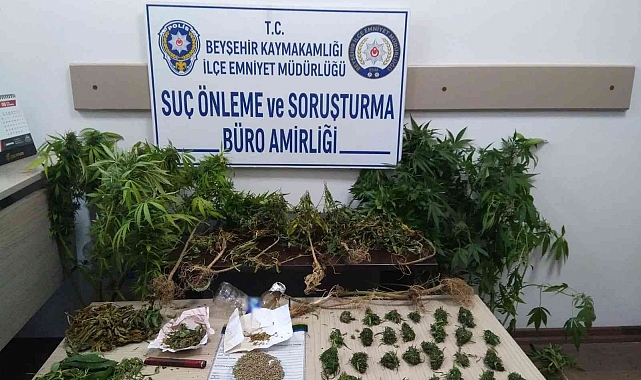 İş yerinde uyuşturucu yetiştiren şüpheli tutuklandı