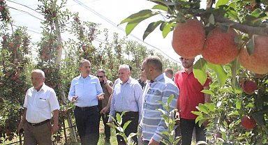 Türkiye'nin elma deposu Karaman'da hasat başladı
