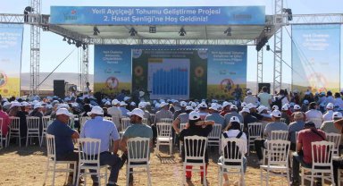 Yerli Ayçiçeği Tohumu Geliştirme ve Çiftçi Destekleme Projesi Konya'da devam ediyor