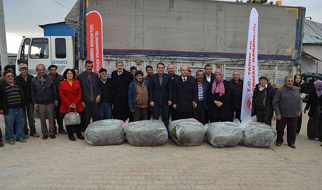 Hüyük'te üreticilere 170 bin adet lavanda fidesi dağıtıldı