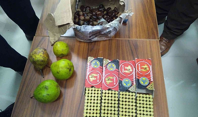 Kargo kutusundaki armut ve kestanelerin arasından 200 mermi çıktı