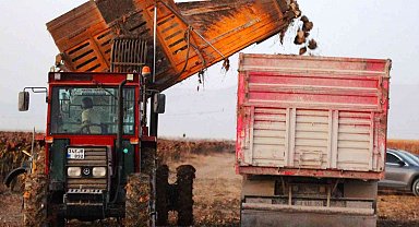 Konya'da 1 milyon dekar alanda şeker pancarı hasadı devam ediyor