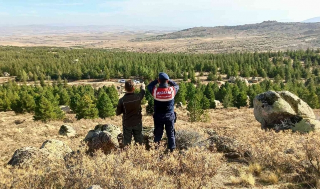 Aksaray'da jandarma Anadolu Yaban Koyunlarını dron ile takip ediyor