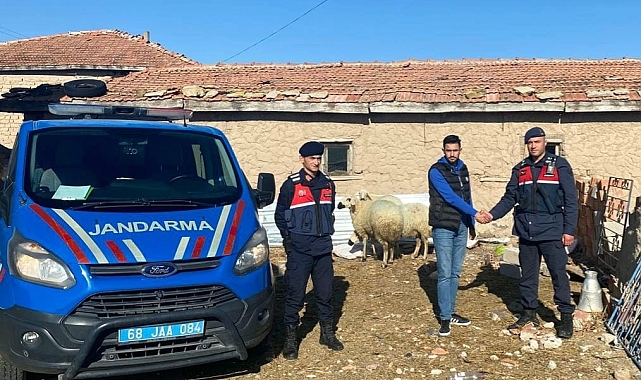 Jandarma kaybolan koyunları dron ile buldu