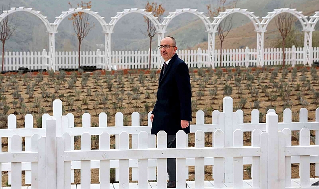 Meram Belediyesi Dere Mahallesinde lavanta bahçesi kurdu