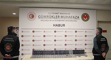 Habur'da milyonlarca lira değerinde kaçakçılık operasyonları