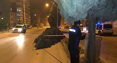 Konya'da şiddetli rüzgar ağaçları devirdi
