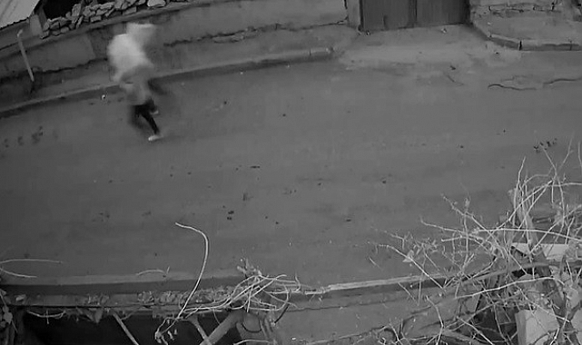 Önce güvenlik kamerasına ardından polise yakalandılar