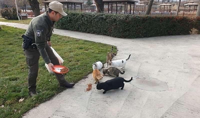 Sokak hayvanlarına HAYDİ ekipleri müdahalesi