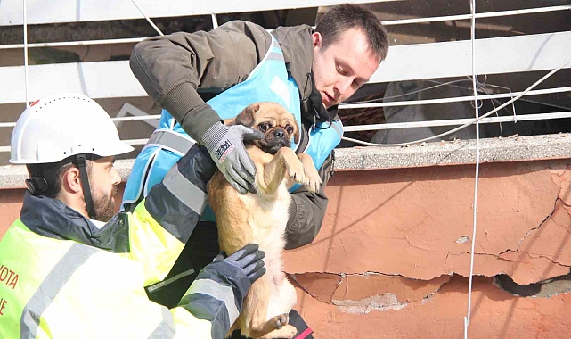 6 katlı bina enkazından sağ çıktı, depremzede kadın sahiplendi