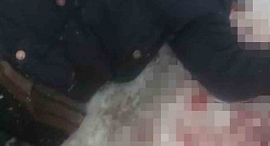 Aksaray'da alacak verecek davası kanlı bitti: 1 ölü