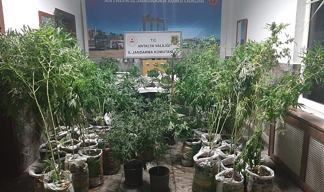 Antalya'da 27 kilogram esrar ele geçirildi