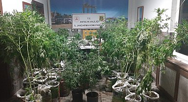 Antalya'da 27 kilogram esrar ele geçirildi