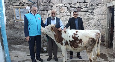 Gözü gibi baktığı danasını depremzedelere bağışladı
