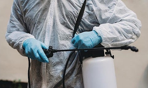 Akrepler için İlaçlama Hizmeti