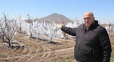 Dona karşı sulanan elma ağaçları buzulları aratmadı