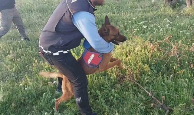 Aksaray'da uyuşturucu operasyonu: 5 gözaltı