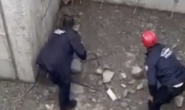 İnşaatın temeline düşen tilkinin yardımına itfaiye yetişti