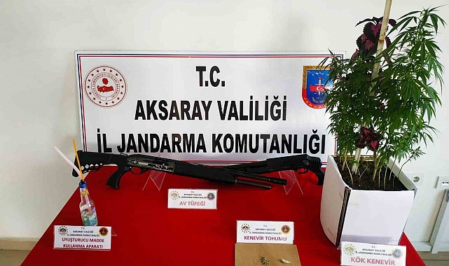 Jandarmadan uyuşturucu ve kaçak silah operasyonu