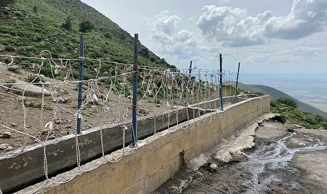 Karaman'da yılkı atlarını yakalamaya çalışan 2 kişi yakaladı