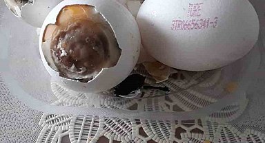 BİM'den aldığı yumurtaların hepsi bozuk çıktı