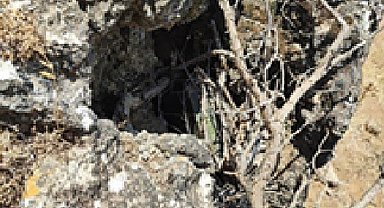 Terör örgütünün sözde Zap sorumlusunun yakın adamı, saklandığı mağarada etkisiz hale getirildi