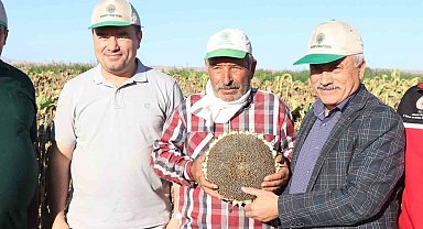 Ay çekirdeğinin kalbinde hasat başladı