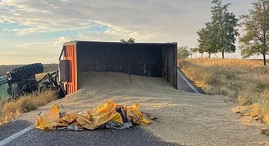 Konya'da traktör devrildi, römorktaki arpa yola saçıldı