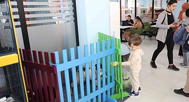 Çocuk Kütüphanesinde Hayvanları Koruma Farkındalığı Etkinliği