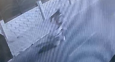 Güvenlik kamerasına yakalanan hırsız tutuklandı