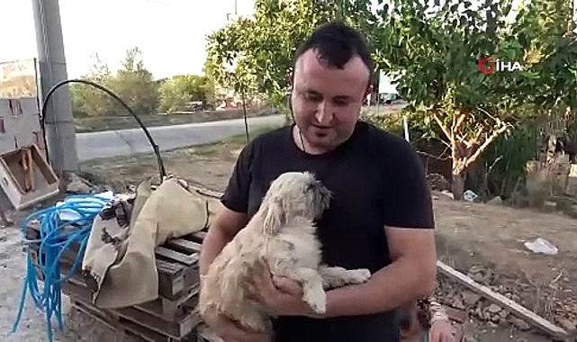 Antalya'da İlham Veren Dostluk: Pug Kırması Köpek, Öksüz Kedilere Annelik Yapıyor