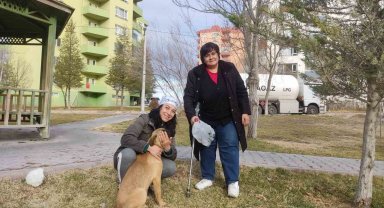 Niğdeli hayvanseverler kayıp köpekleri arıyor