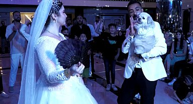 'Bulut', sahibini düğününde de yalnız bırakmadı
